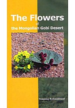 The Flowers the Mongolian Gobi Desert