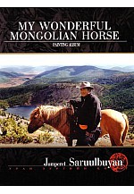 My wonderful mongolian horse
