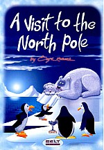 A Visit to the North pole
