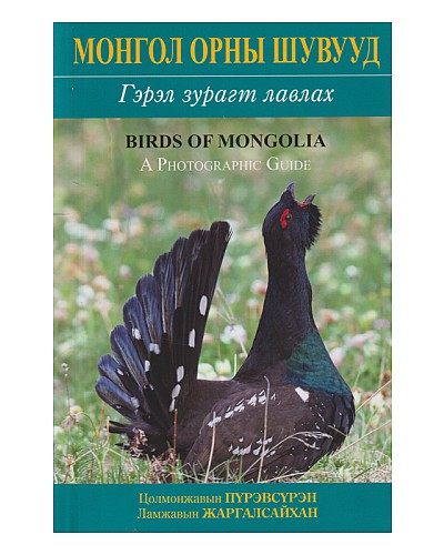 Монгол орны шувууд /Гэрэл зурагт лавлах/